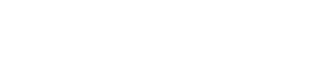 AMS Vans & Mobility